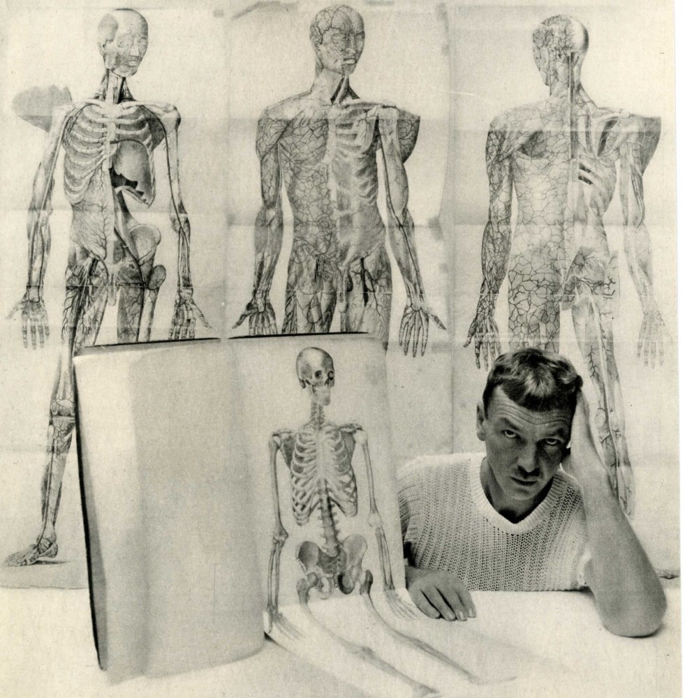 Lot #2093: GEORGE PLATT LYNES - Skeletons with Penis - Original vintage photogravure