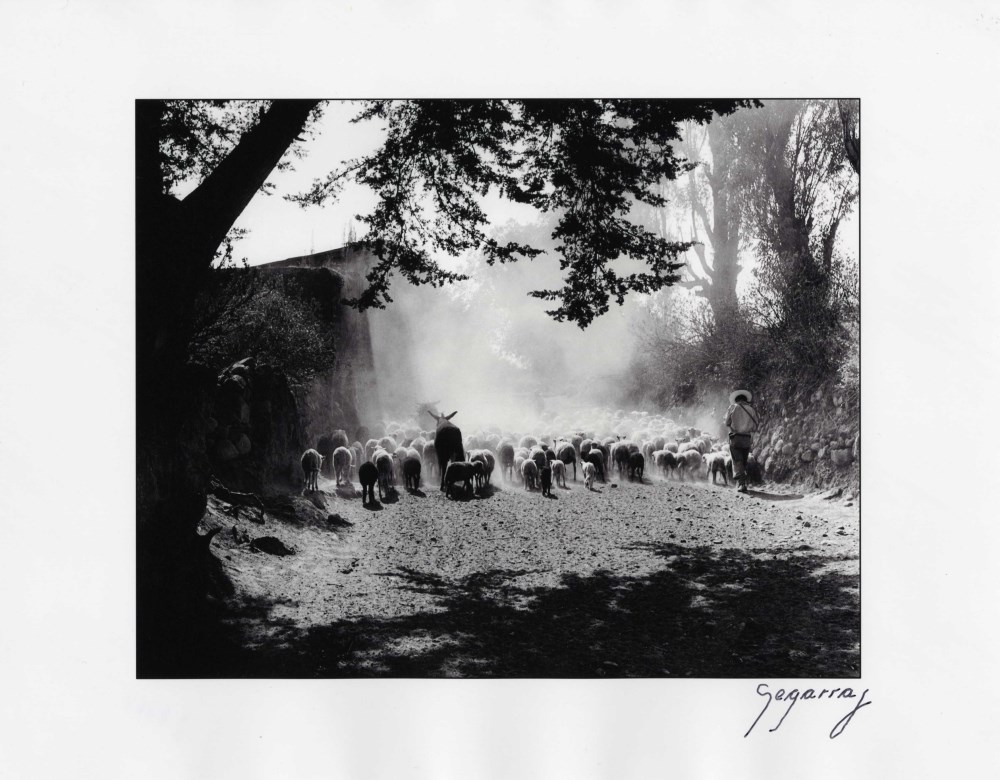 Lot #1803: ENRIQUE SEGARRA LOPEZ - Borregos, Lerma, Estado de Mexico - Gelatin silver print