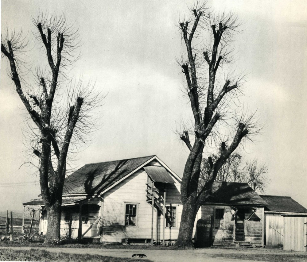 Lot #1691: EDWARD WESTON - Farm House, Salinas Valley - Original vintage photogravure