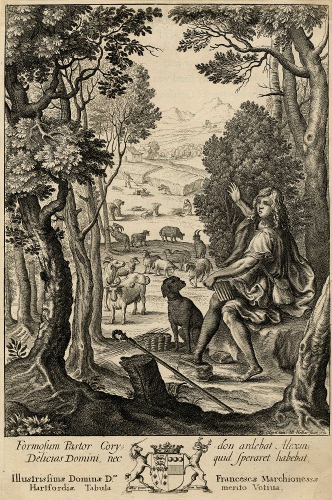 Lot #1689: WENCESLAUS HOLLAR - Alexis - Etching with drypoint