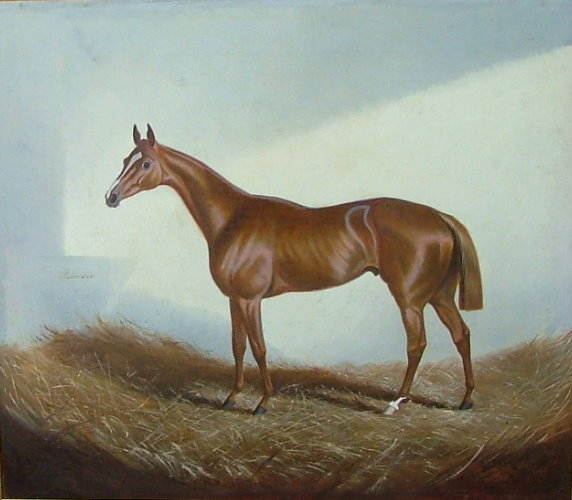 Lot #653: ALFONSO GRAY/GREY - The Racehorse 'Recorder' - Oil on canvas