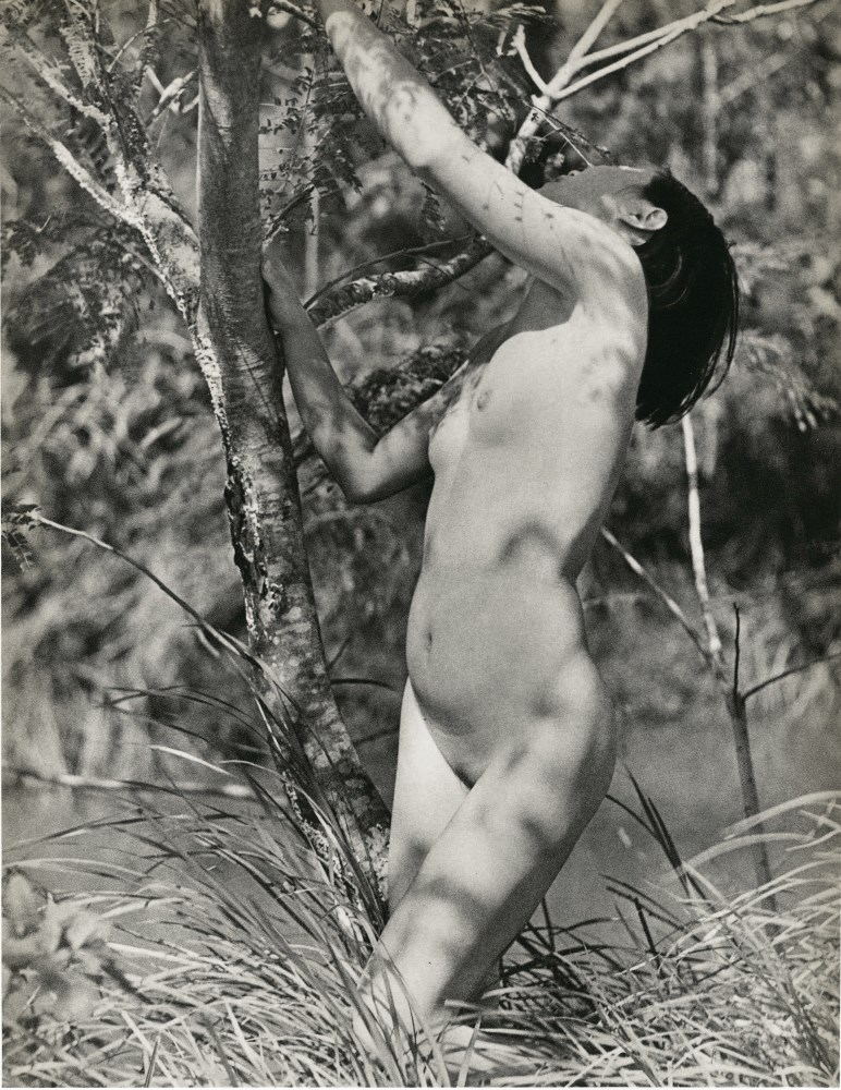 Lot #987: CHIN-SAN LONG [lang jingshan/lang ching-shan] - Foret au printemps - Original vintage photogravure