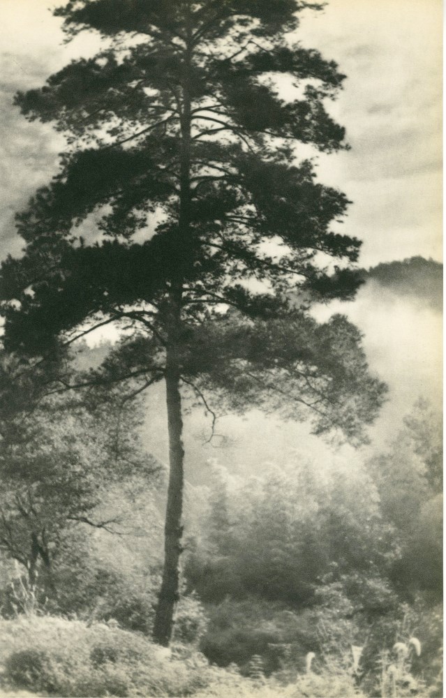 Lot #76: CHIN-SAN LONG [lang jingshan/lang ching-shan] - Brouillard du matin - Original vintage photogravure