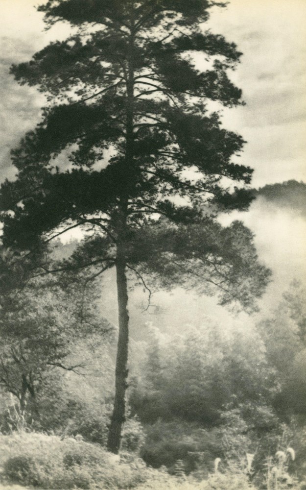 Lot #76: CHIN-SAN LONG [lang jingshan/lang ching-shan] - Brouillard du matin - Original vintage photogravure