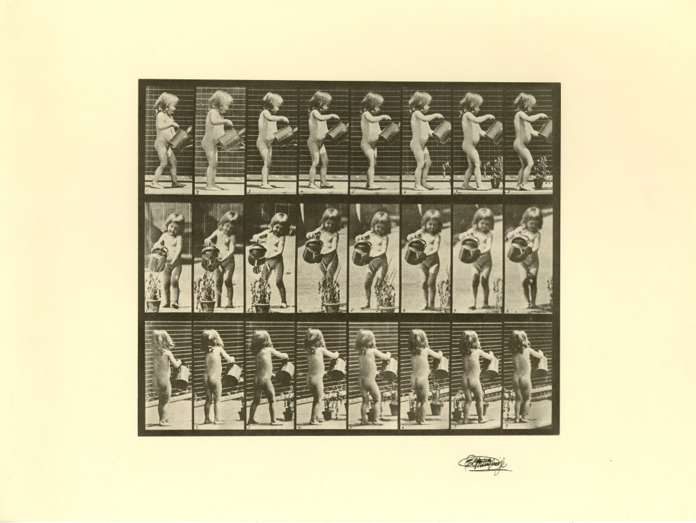Lot #2168: EADWEARD MUYBRIDGE [d'aprs] - Girl Watering - Original photogravure