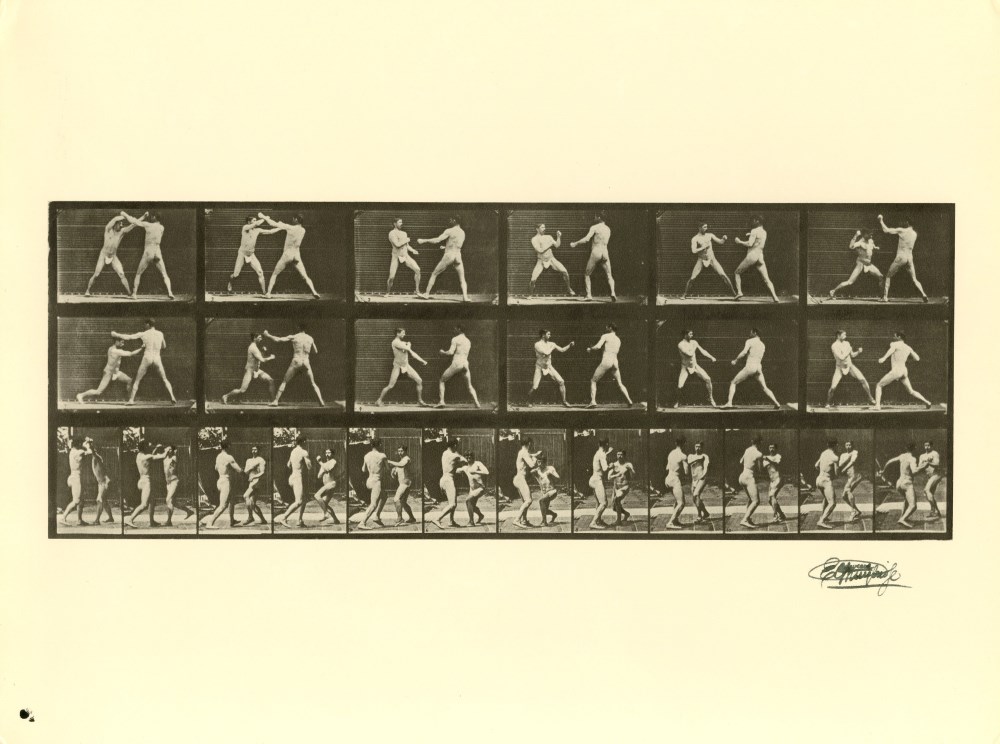 Lot #1875: EADWEARD MUYBRIDGE - Men Boxing - Original photogravure