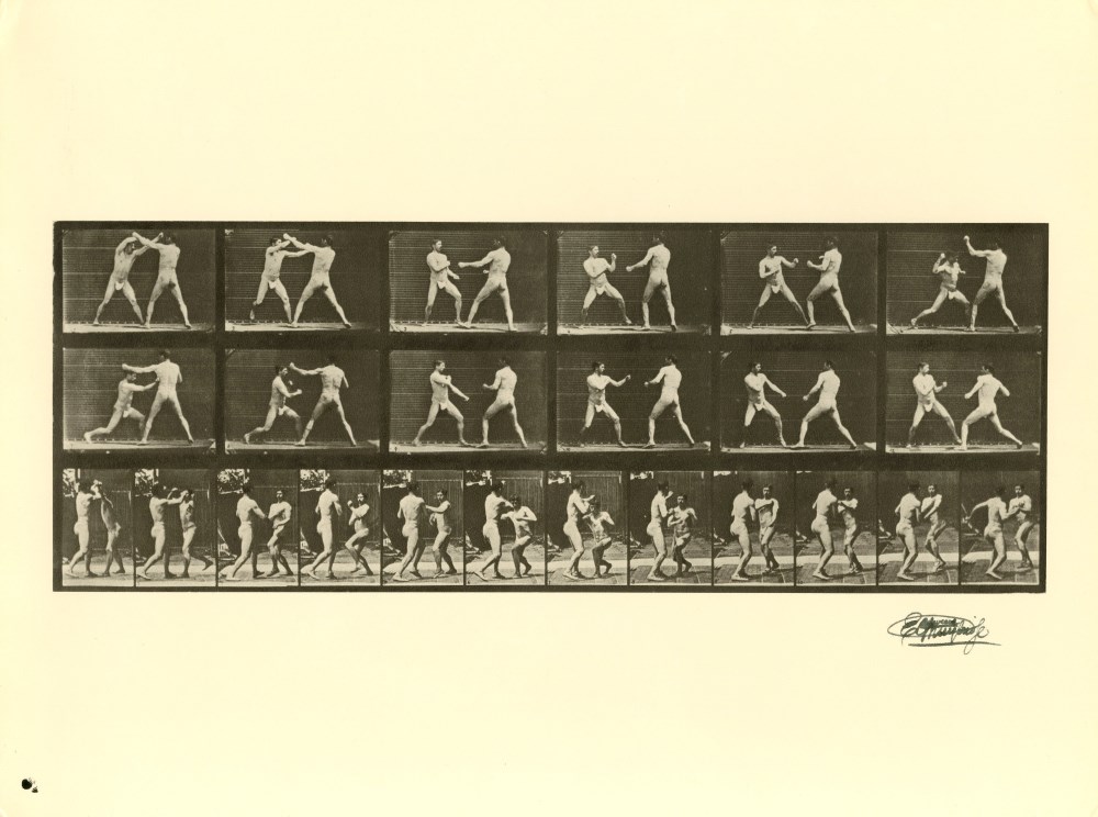 Lot #2519: EADWEARD MUYBRIDGE - Men Boxing - Original photogravure