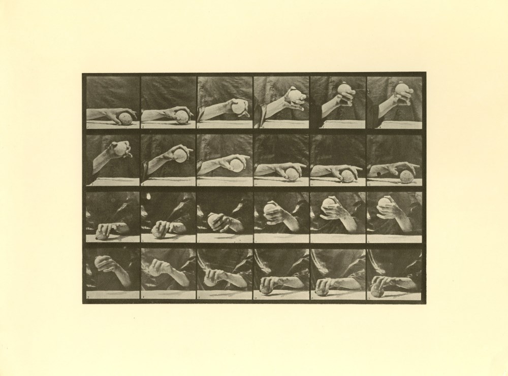 Lot #2212: EADWEARD MUYBRIDGE [d'aprs] - Hand Playing with a Ball - Original photogravure