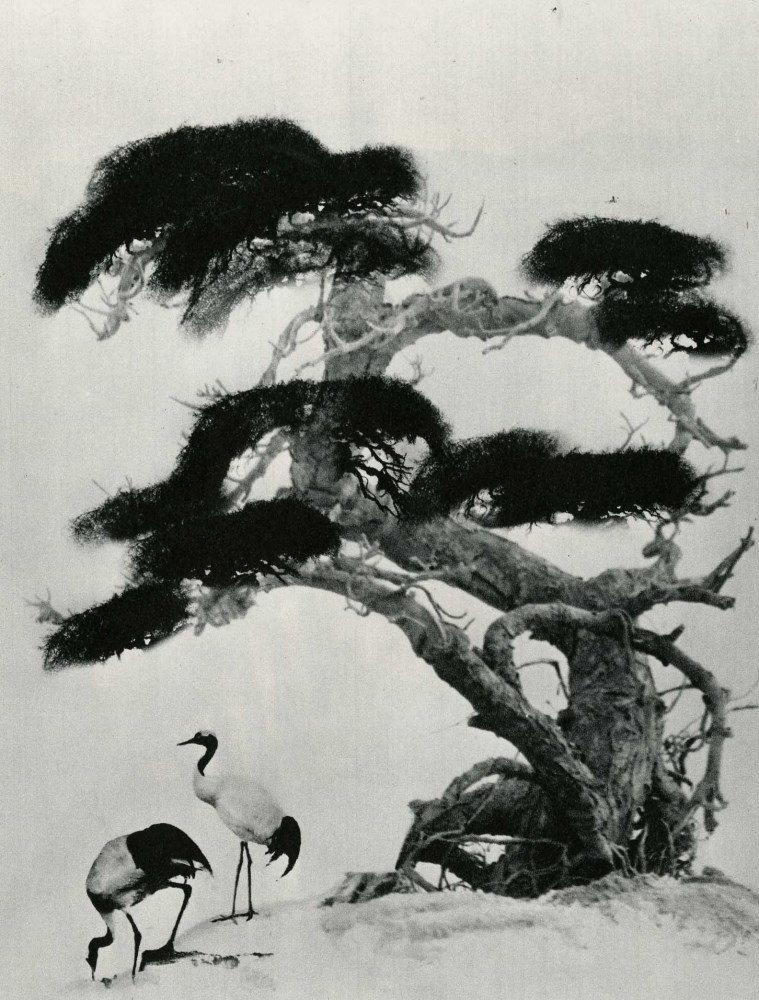 Lot #871: CHIN-SAN LONG [lang jingshan/lang ching-shan] - Chinese Painting I - Original vintage photogravure
