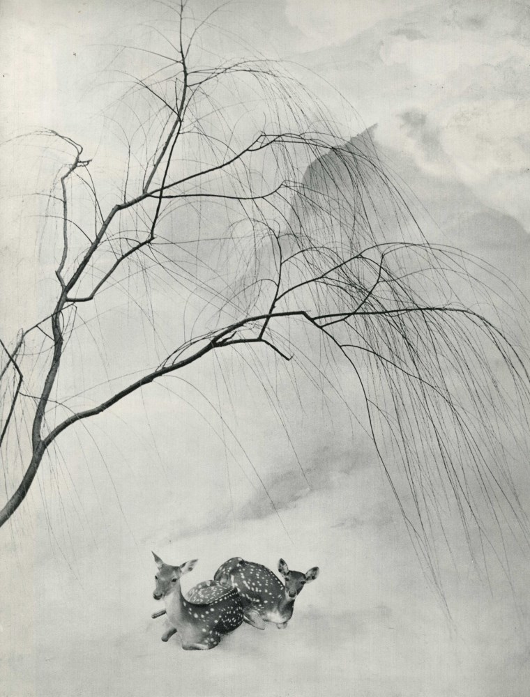 Lot #1878: CHIN-SAN LONG [lang jingshan/lang ching-shan] - Chinese Painting II - Original vintage photogravure