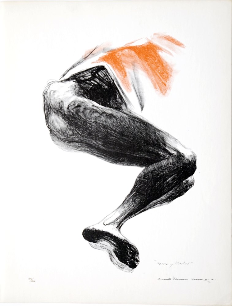 Lot #2674: GUILLERMO MEZA - Tierra y Libertad - Color lithograph