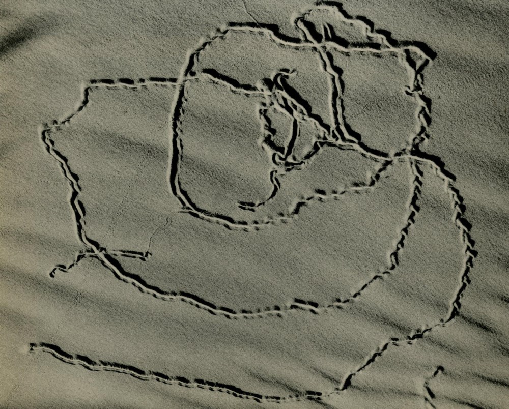 Lot #656: EDWARD WESTON - Tracks on Sand, Oceano - Original vintage photogravure