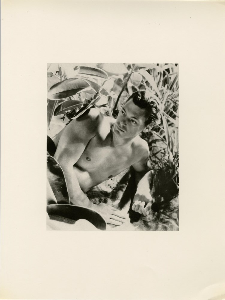 Lot #2377: CECIL BEATON - Johnny Weissmuller - Original vintage photogravure