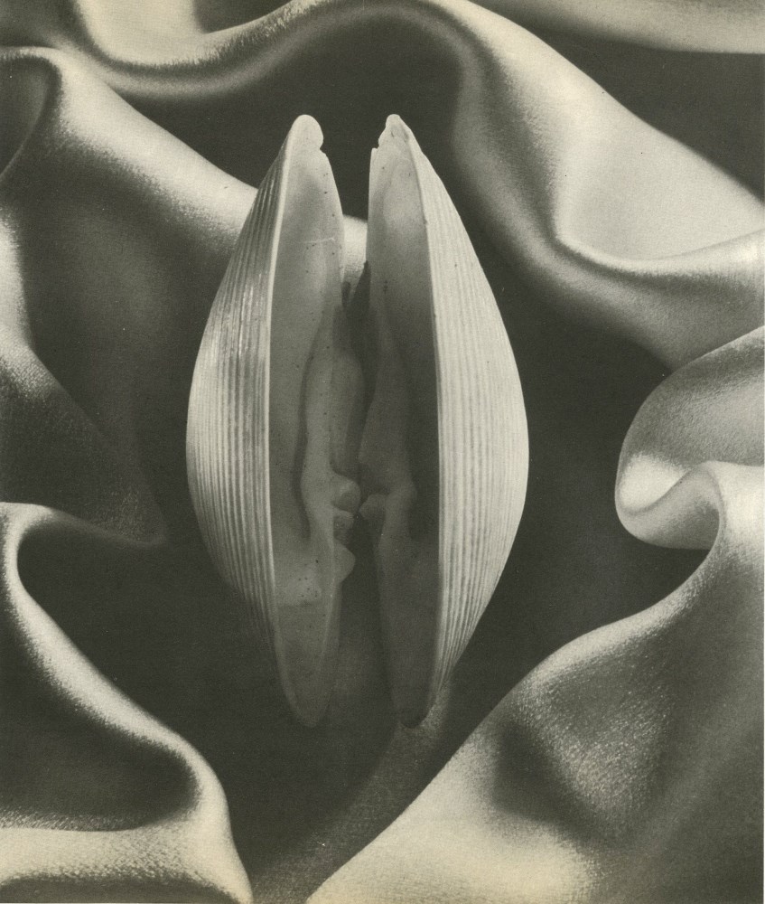 Lot #1356: RUTH BERNHARD - Shell in Silk - Original vintage photoengraving