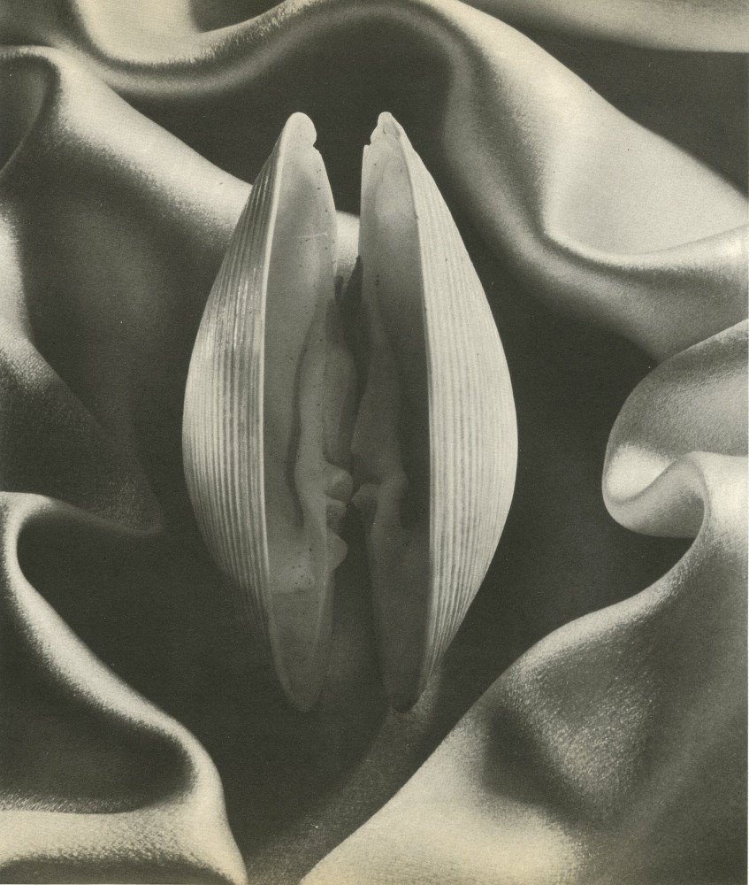 Lot #2915: RUTH BERNHARD - Shell in Silk - Original vintage photoengraving