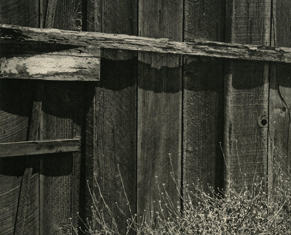 Lot #2651: ANSEL ADAMS - Old Fence - Original vintage photogravure