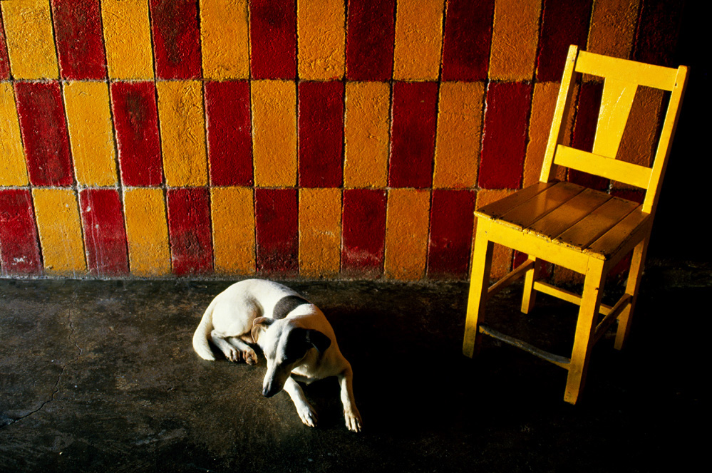 Lot #1361: PABLO AGUINACO LLANO - Sin Hueso - Color analogue photograph