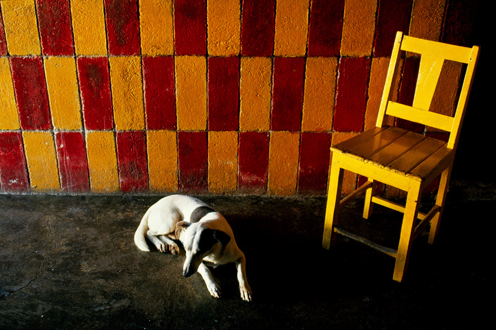 Lot #2931: PABLO AGUINACO LLANO - Sin Hueso - Color analogue photograph