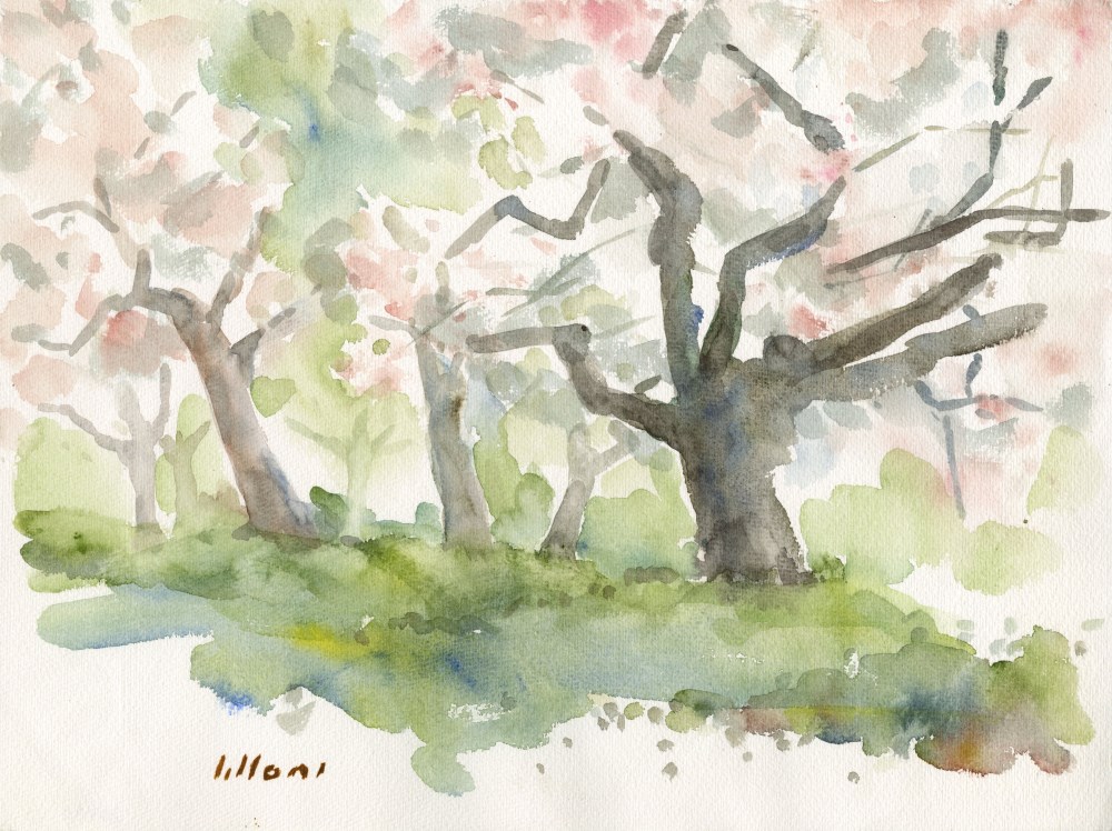 Lot #1804: UMBERTO LILLONI [d'aprs] - Bosco - Original watercolor on paper