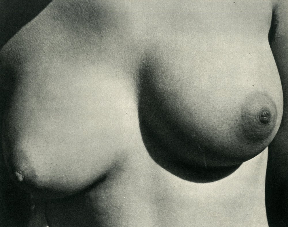 Lot #2630: YASUO KUNIYOSHI - Nude - Original vintage photogravure