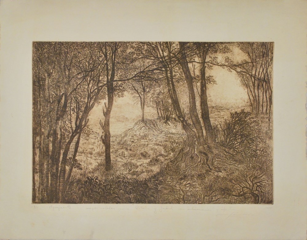 Lot #3218: FERNANDO DIAZ INFANTE - Viejos Robles - Etching