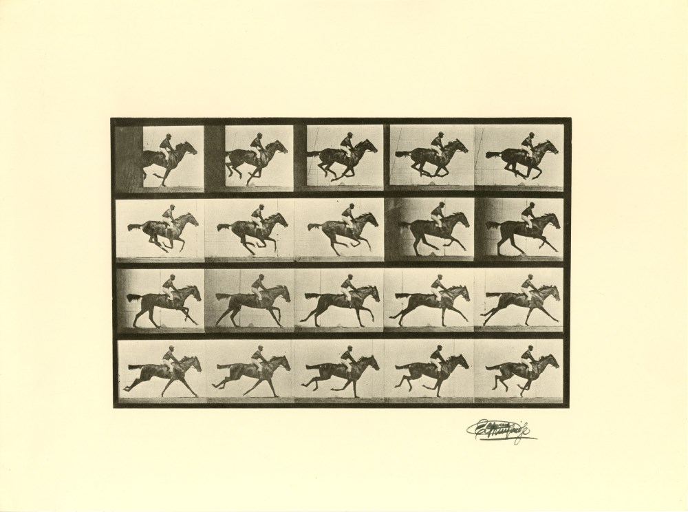 Lot #1796: EADWEARD MUYBRIDGE [d'après] - Jockey on Galloping Horse (The Horse in Motion) - Original photogravure