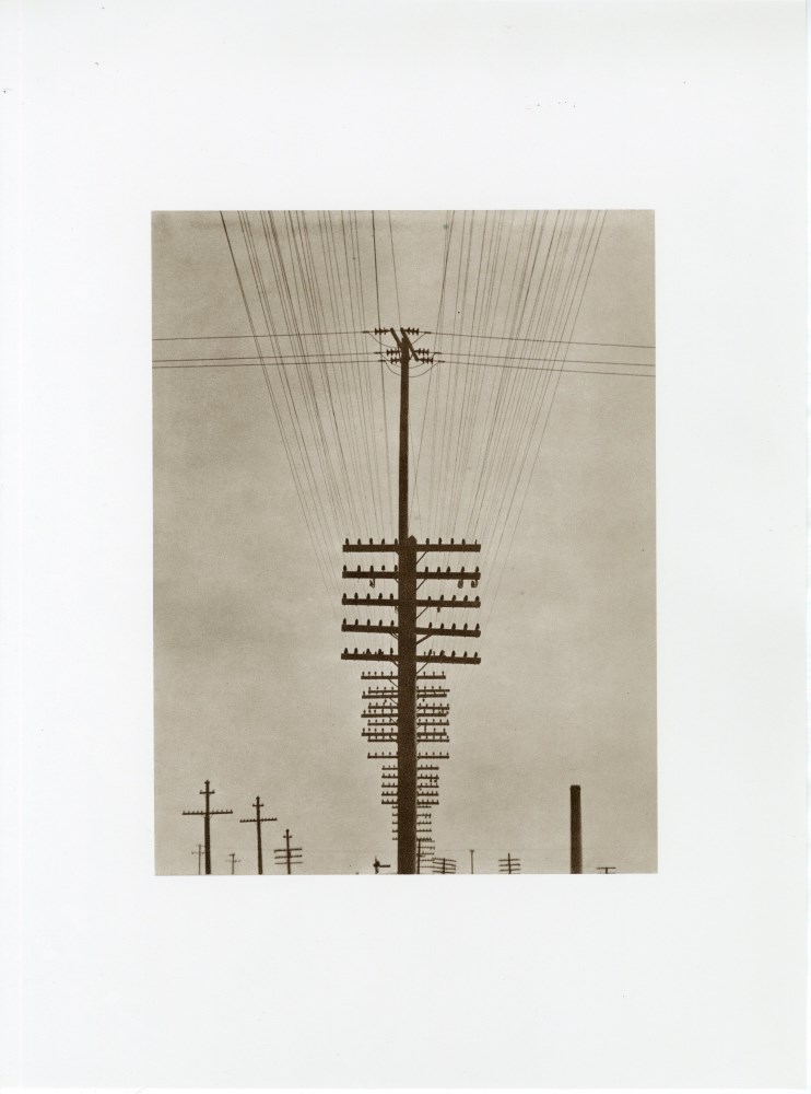 Lot #606: TINA MODOTTI - Telegraph Lines - Original photogravure
