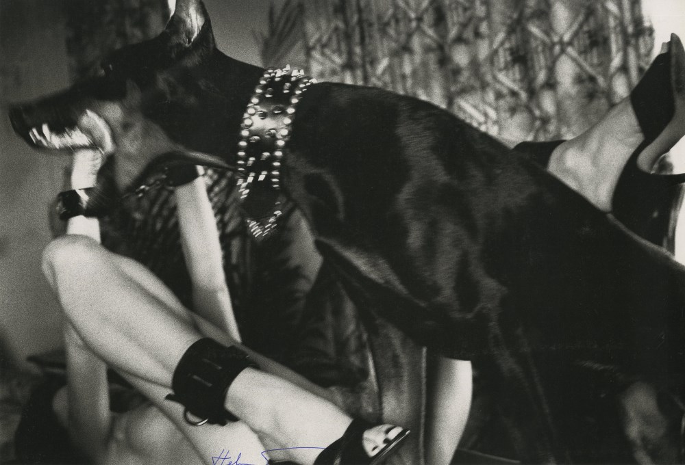 Lot #2925: HELMUT NEWTON - Siegfried, Los Angeles - Photolithograph
