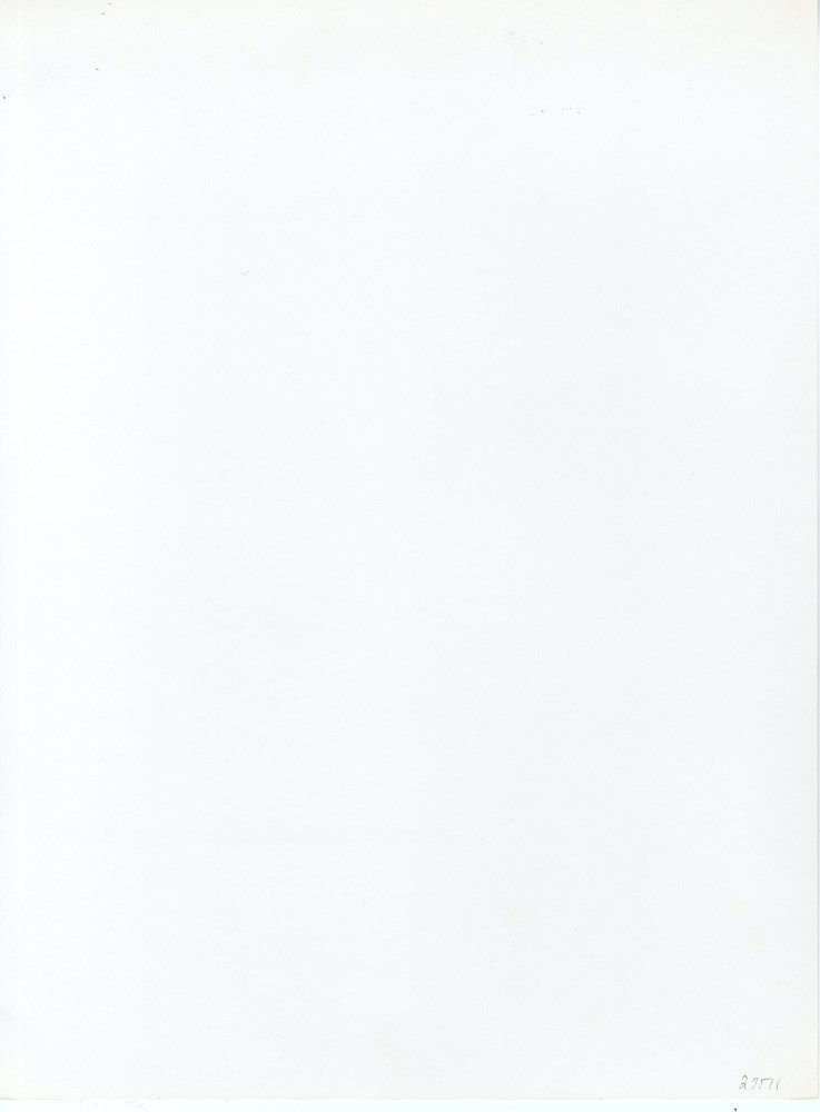 Lot #3100: MAN RAY - The Pistol - Original photogravure