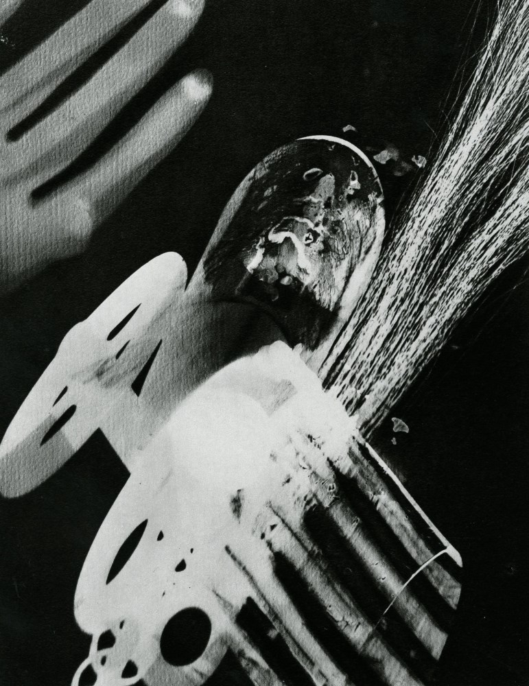 Lot #2798: MAN RAY - Rayograph - 008 - Original photogravure