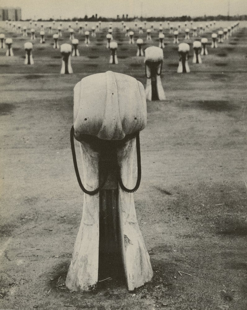 Lot #2688: WEEGEE [arthur h. fellig] - Park and See - Original vintage photogravure