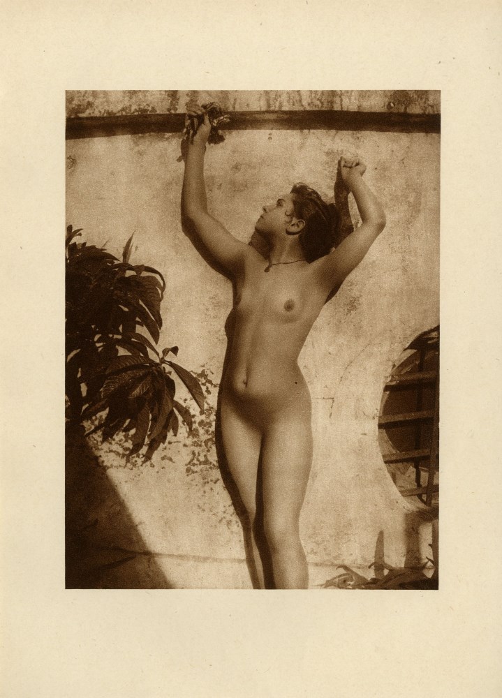 Lot #2923: WILHELM VON GLOEDEN - Sicilian Nude - Original vintage sepia-toned photogravure