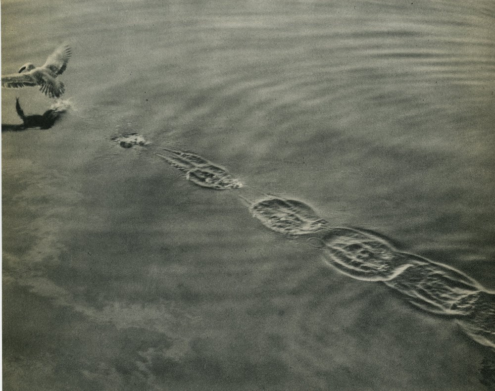 Lot #1942: ROBERT A. BARROWS - Contact - Original vintage photogravure
