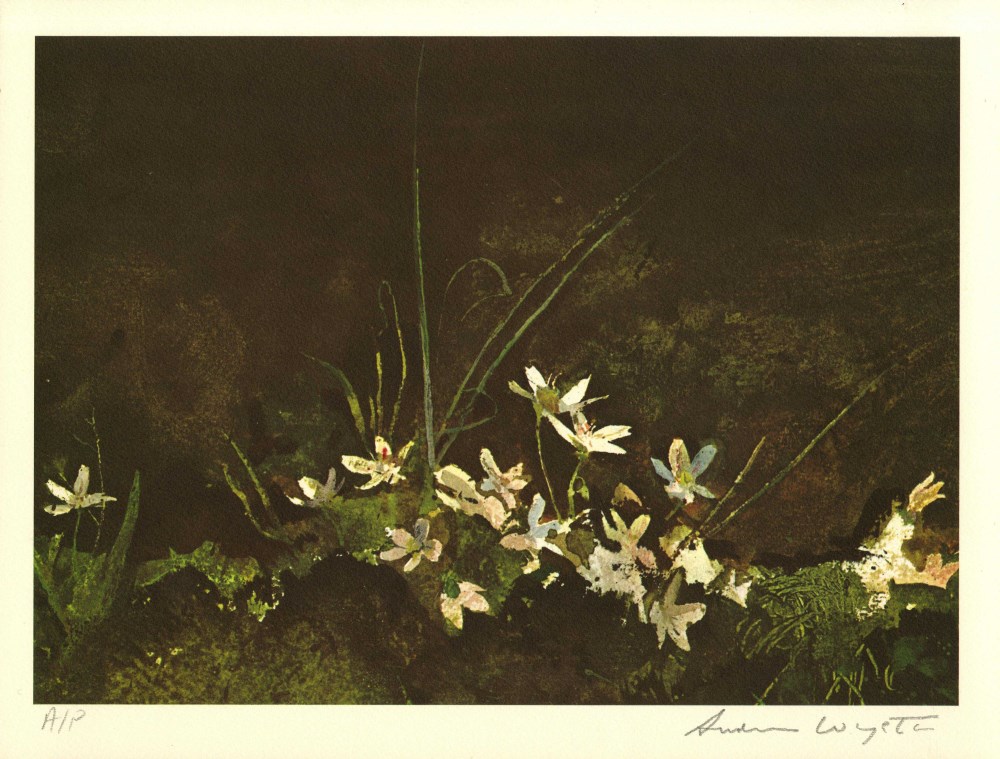 Lot #2516: ANDREW WYETH - May Day - Color offset lithograph