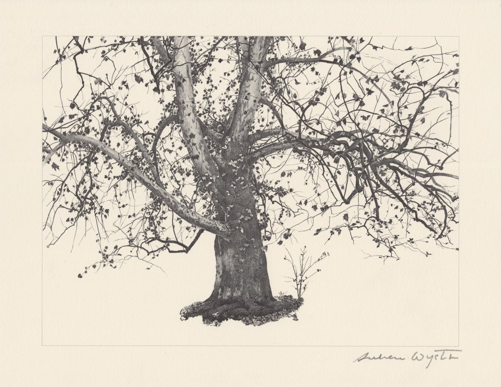 Lot #2591: ANDREW WYETH - New Leaves - Offset lithograph