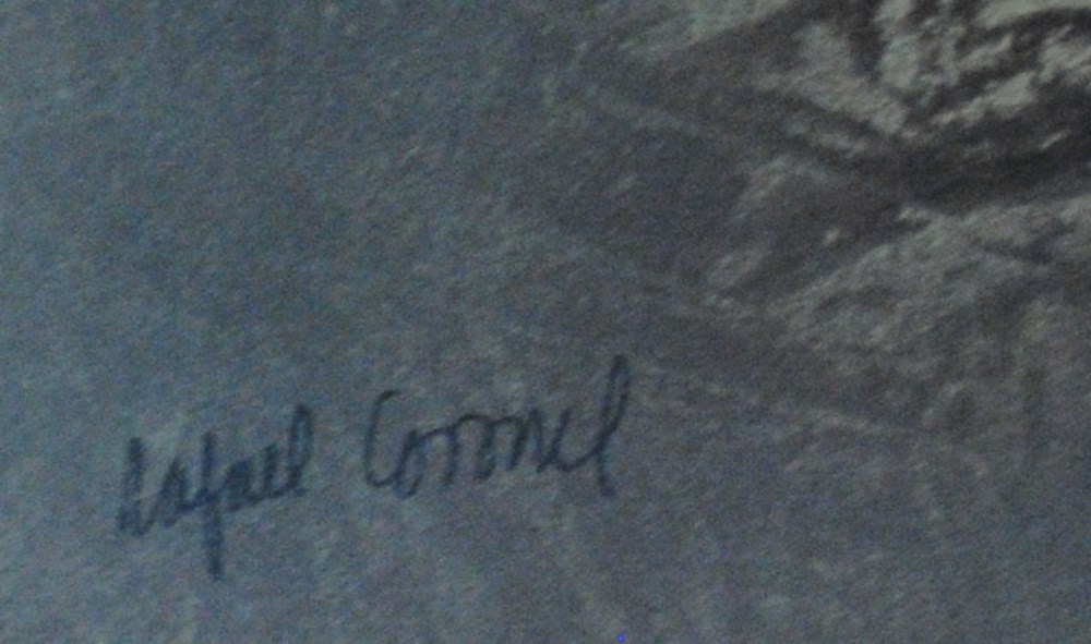 Lot #1514: RAFAEL CORONEL - Adolescente Inclinado - Color offset lithograph