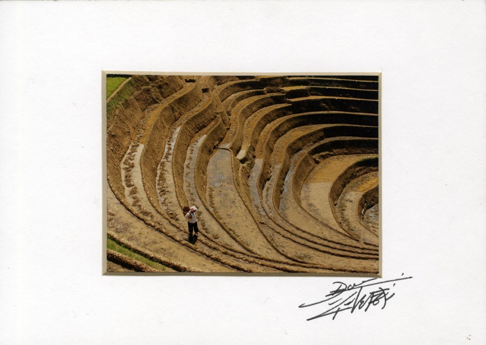 Lot #2313: DON HONG-OAI - Inspecting the Mine - Color analogue print
