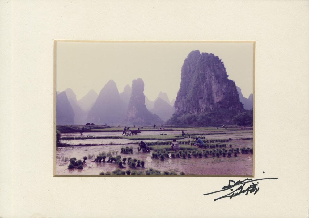 Lot #872: DON HONG-OAI - Chinese Workers in the Fields - Color analogue print