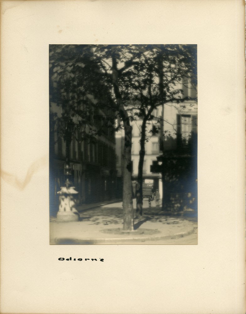 Lot #3164: WILLIAM C. ODIORNE - Trees [Paris] - Vintage platinum print