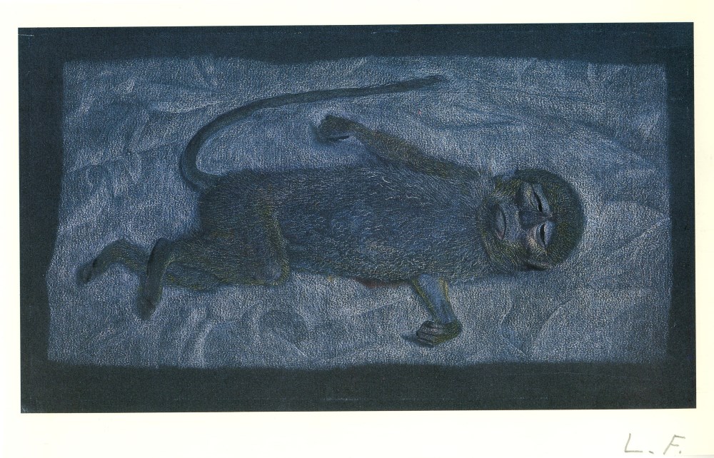 Lot #1978: LUCIAN FREUD - Dead Monkey - Color offset lithograph