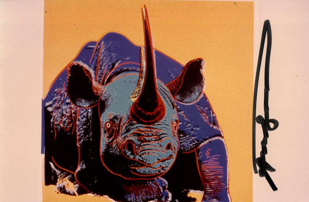 Lot #63: ANDY WARHOL - Black Rhinoceros - Original color analogue photograph