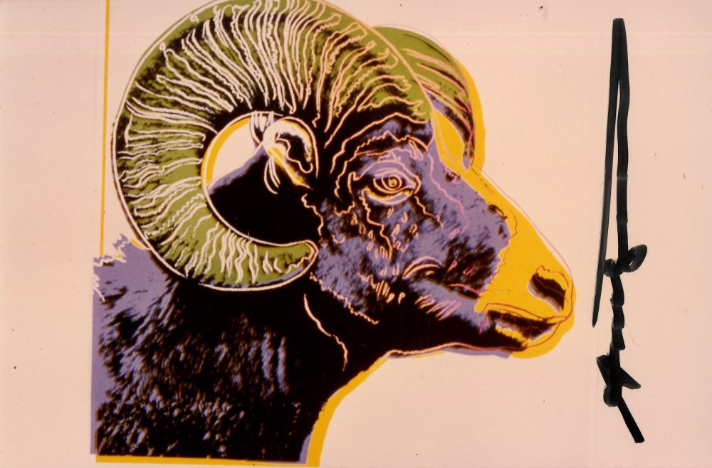 Lot #60: ANDY WARHOL - Bighorn Ram - Original color analogue photograph