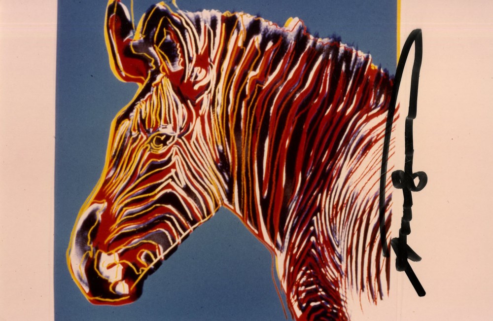Lot #241: ANDY WARHOL - Grevy's Zebra - Original color analogue photograph
