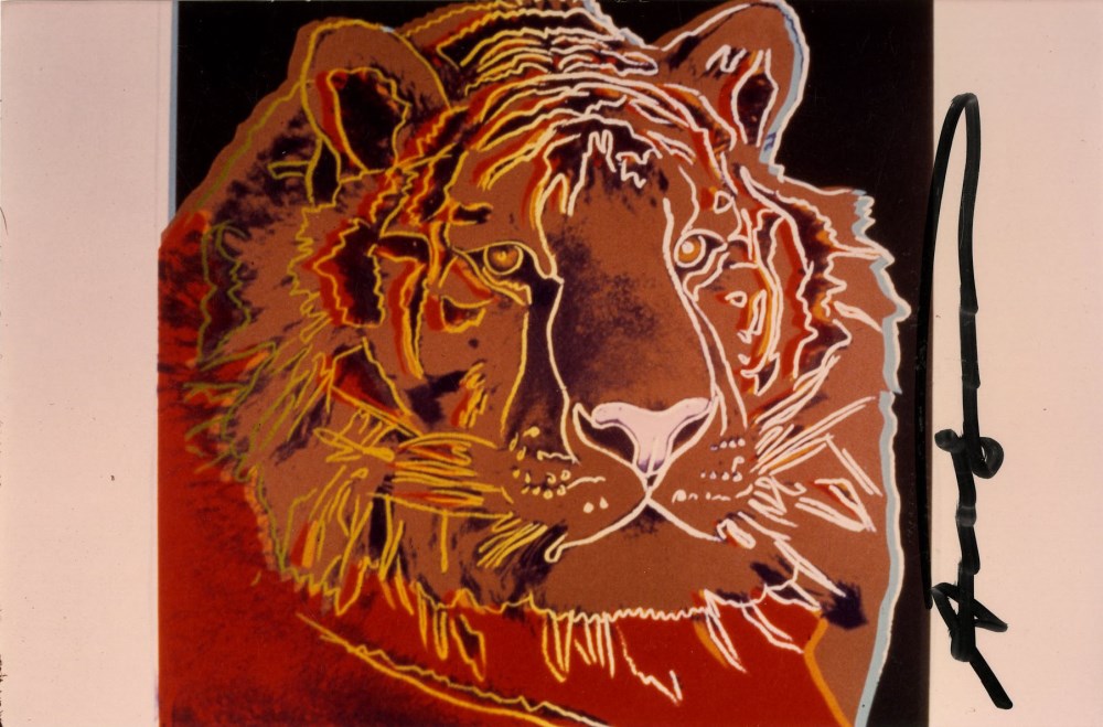 Lot #590: ANDY WARHOL - Siberian Tiger - Original color analogue photograph