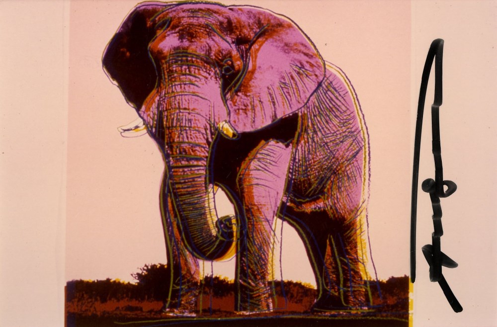 Lot #8: ANDY WARHOL - African Elephant - Original color analogue photograph