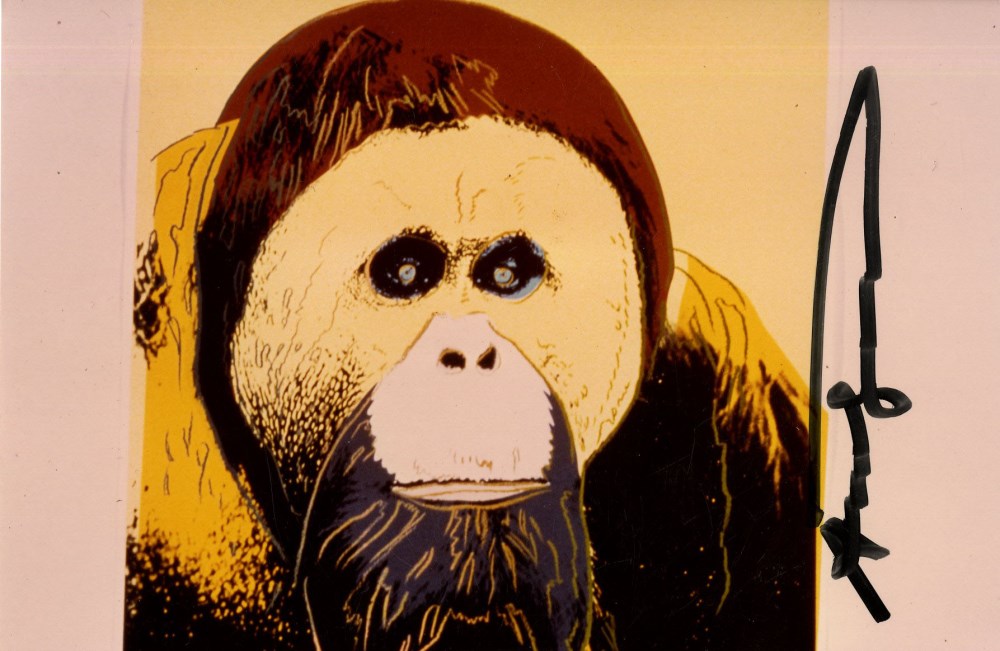 Lot #446: ANDY WARHOL - Orangutan - Original color analogue photograph