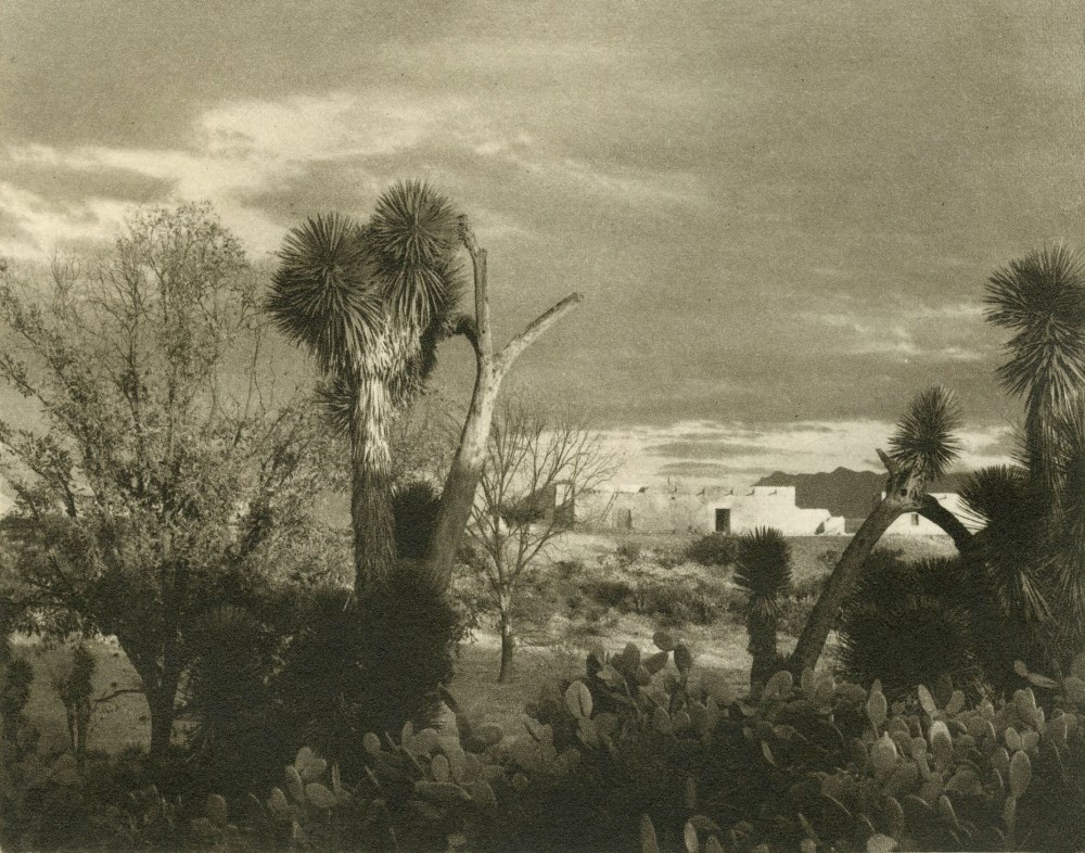 Lot #1919: PAUL STRAND - Near Saltillo - Original photogravure