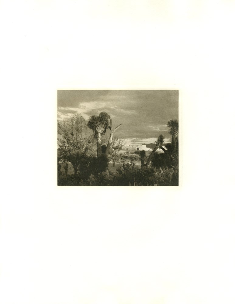 Lot #2586: PAUL STRAND - Near Saltillo - Original photogravure