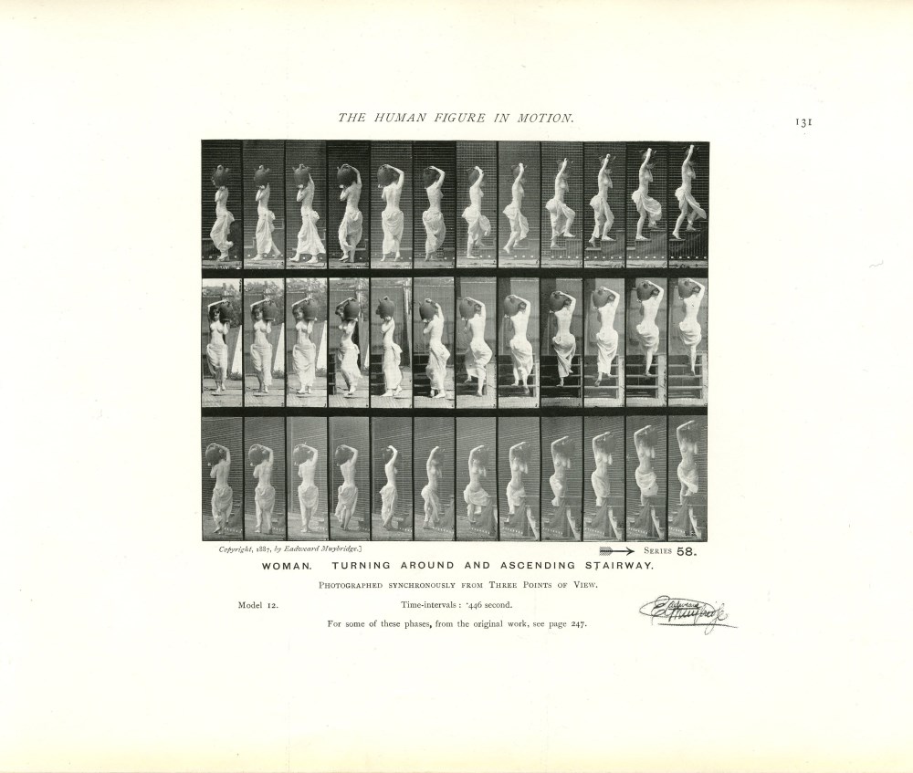 Lot #2248: EADWEARD MUYBRIDGE - Woman: Turning around and Ascending Stairway - Original photomezzotint & letterpress