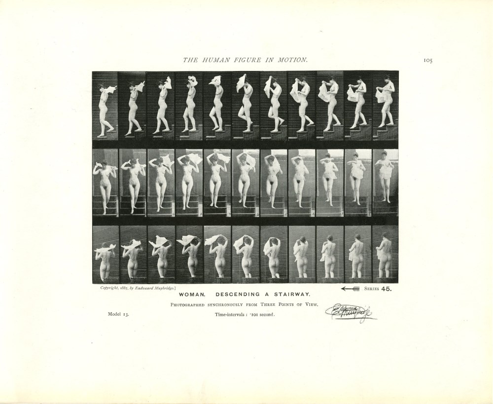 Lot #3268: EADWEARD MUYBRIDGE - Woman: Descending a Stairway - Original photomezzotint & letterpress